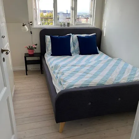 C, Hyggelig Bolig Ved Den Gamle By Apartment *